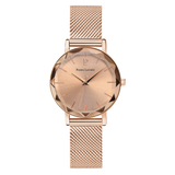 Montre Pierre Lannier 010P958